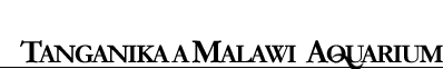 Primary Raster logo