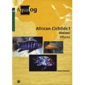 African cichlids I. Malawi - Mbuna / Schraml