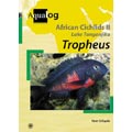 Tropheus - African cichlids II. Tanganyika I. / Schupke