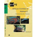African cichlids III. Malawi 