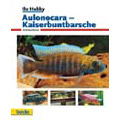 Aulonocara - Kaiserbuntbarsche (Ihr-hobby) / Andreas Butze