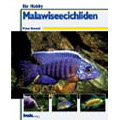 Malawiseecichliden (Ihr-hobby) / Peter Bredell