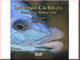 Malawi Cichlids DVD  Feeding Behavior