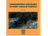 Tanganyika Cichlids in their natural habitat